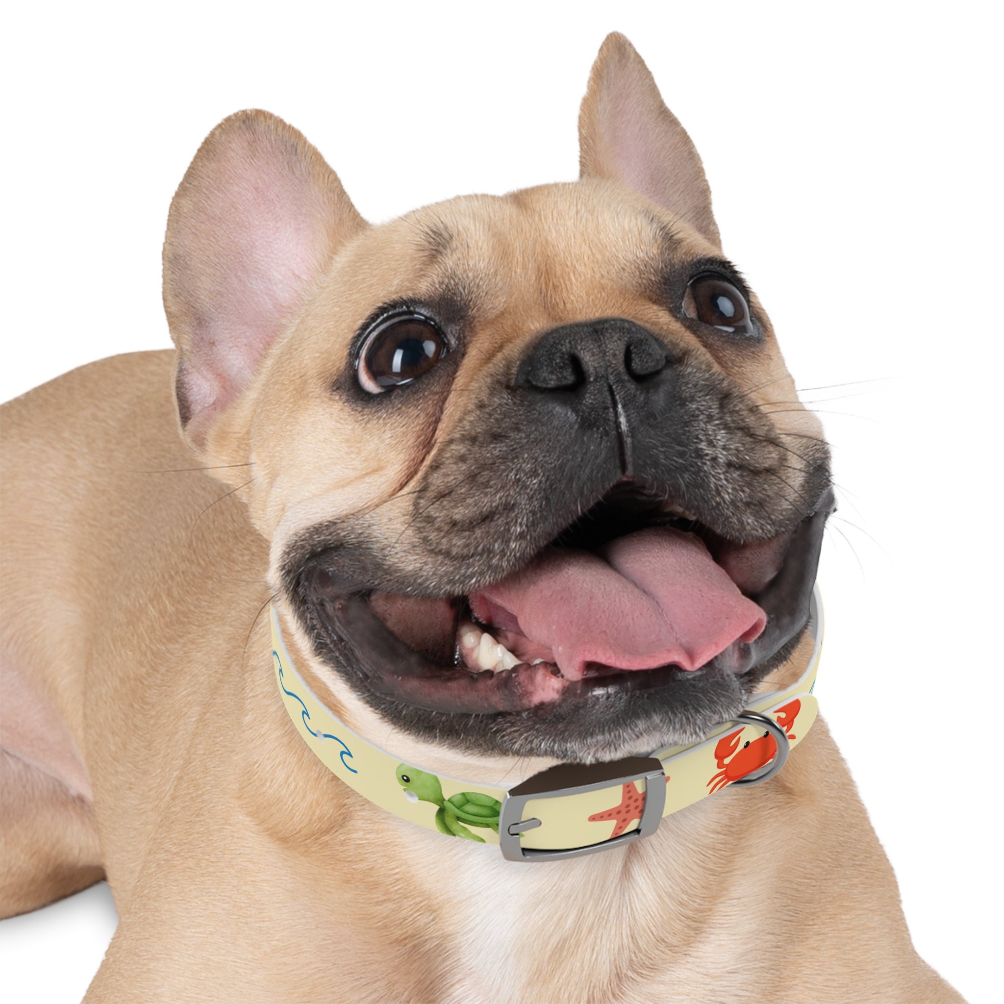 Collar para Perros Playa Verano | Diseño Cangrejos Palmeras Sandías TPU