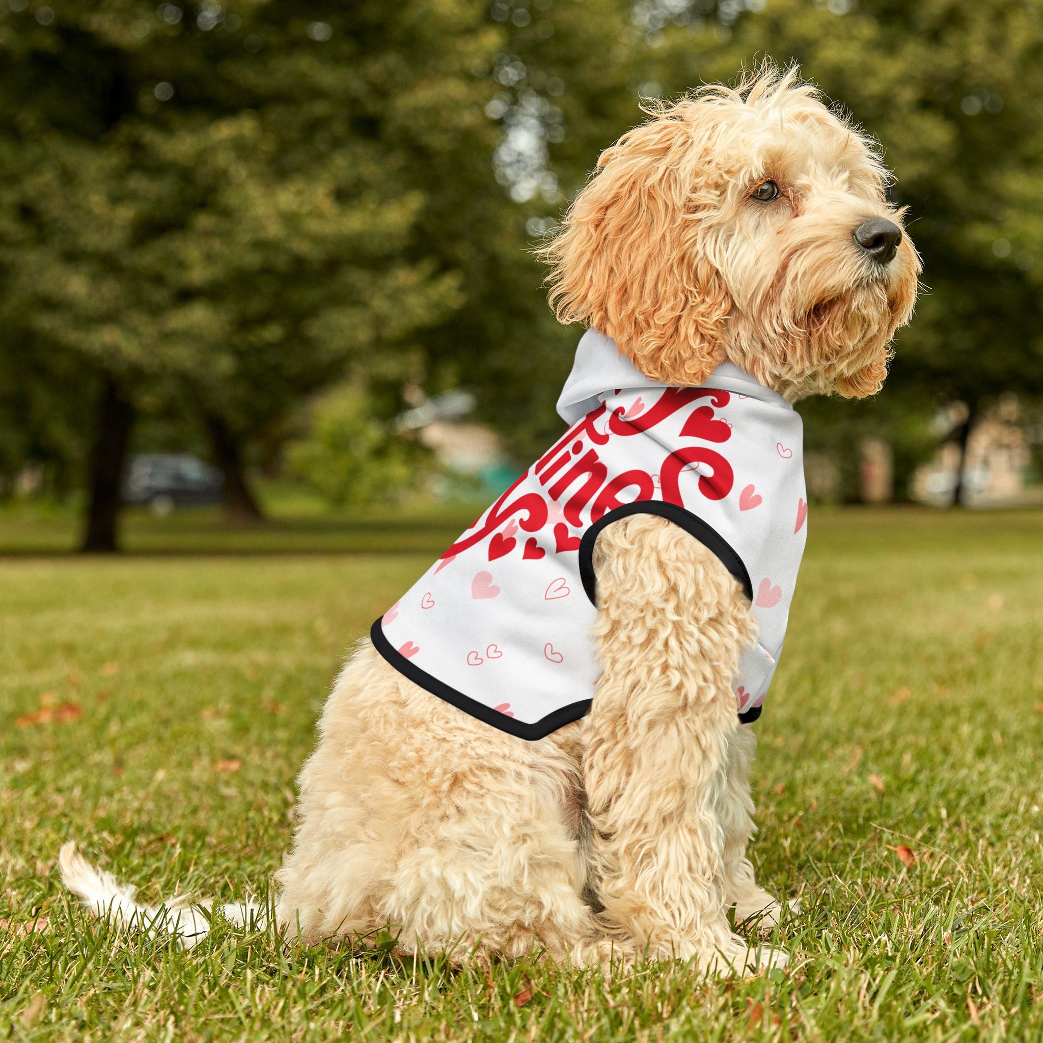 Sudadera San Valentín para Mascotas | Corazones Rojos "Happy Valentine's Day"