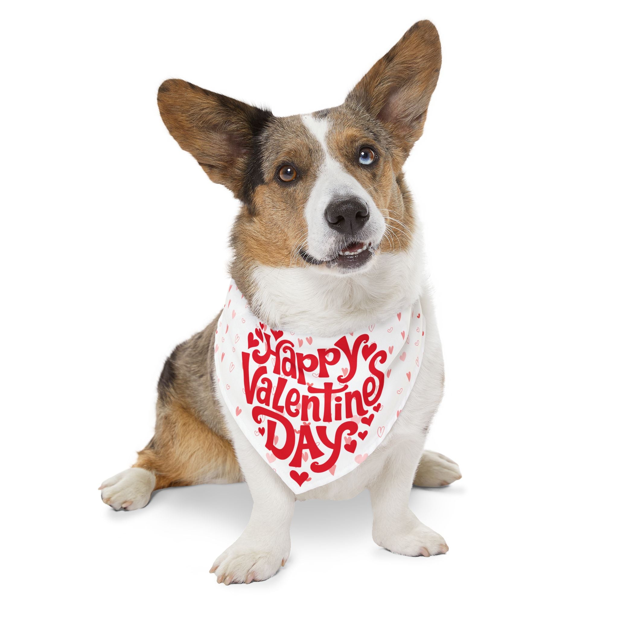 Bandana Collar San Valentín para Mascotas | Estampado Corazones "Happy Valentine's Day"