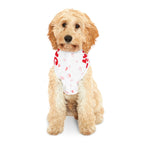 Sudadera San Valentín para Mascotas | Corazones Rojos "Happy Valentine's Day"