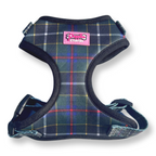 Cornish Hunting Tartan - Harness