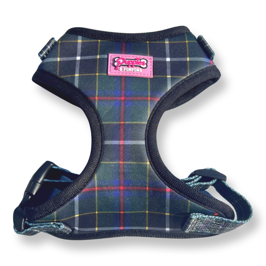 Cornish Hunting Tartan - Harness