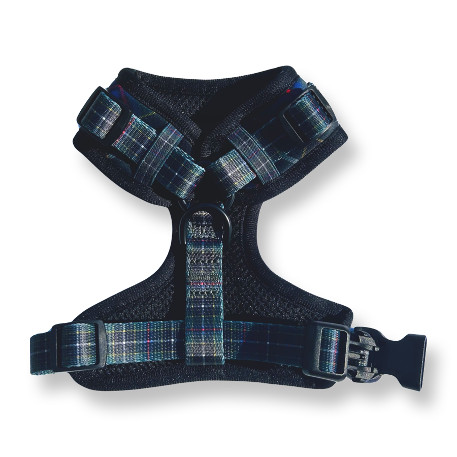 Cornish Hunting Tartan - Harness
