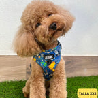 Arnés Ajustable Laika