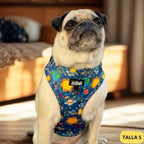 Arnés Ajustable Laika